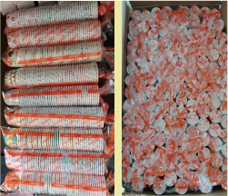 Paper Tea Cups -in-podili-andhra-pradesh-india